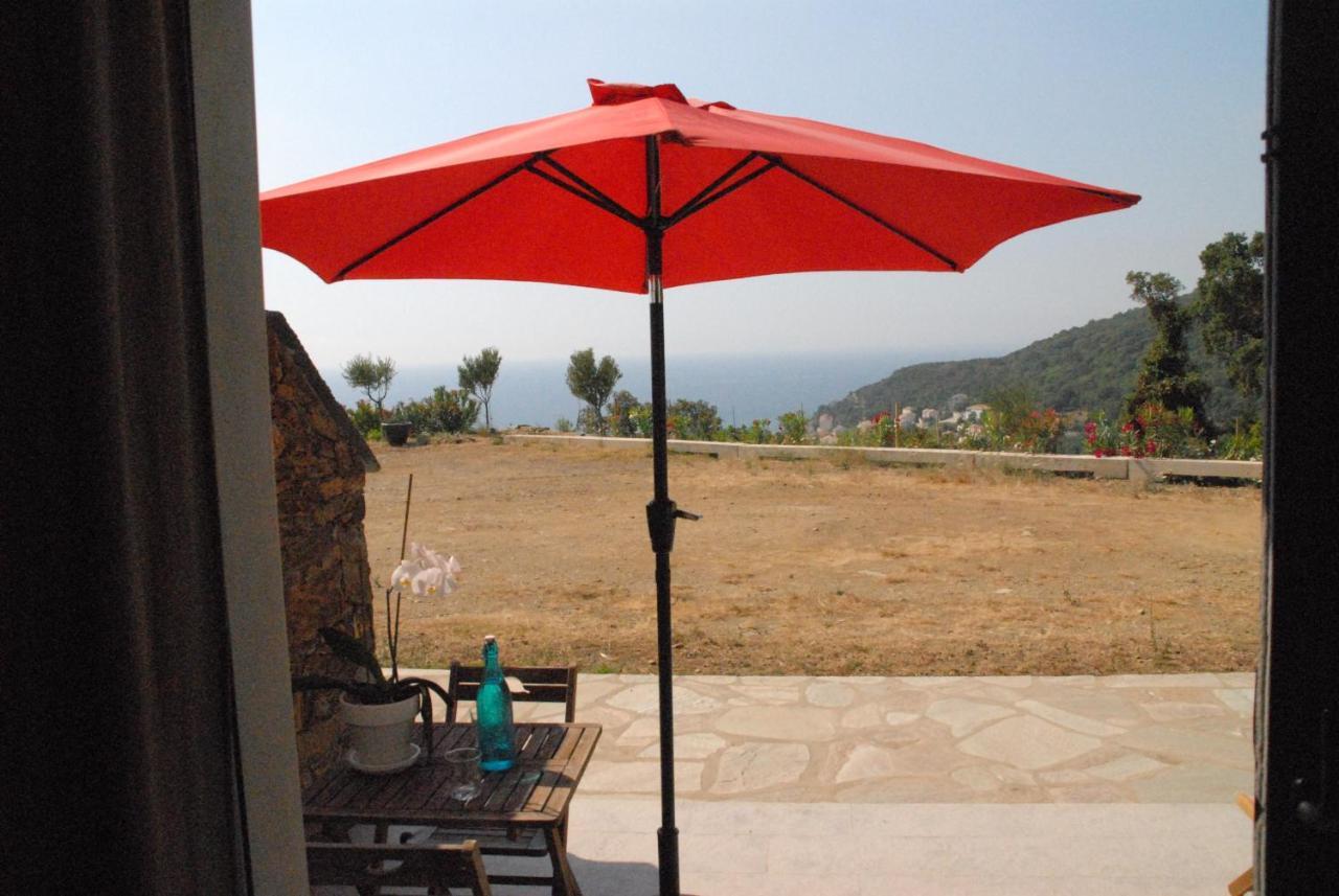 Appartement Vue Sur Mer Santa-Maria-di-Lota Exterior foto
