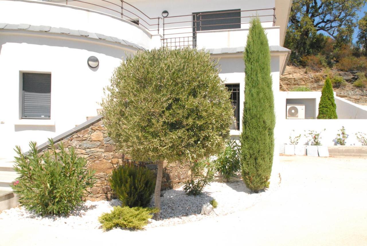 Appartement Vue Sur Mer Santa-Maria-di-Lota Exterior foto